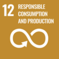 Fratelli Damian - Agenda 2030 - 12 Responsible Consumption and Production