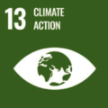 Fratelli Damian - Agenda 2030 - 13 Climate Action
