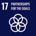 Fratelli Damian - Agenda 2030 - 17 Partnerships for the Goals